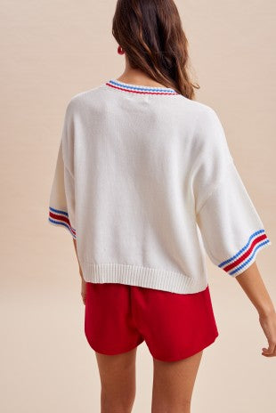 4th July American Flag Waving Dog Graphic Sweater