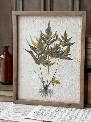 Royal Botanics Framed Picture