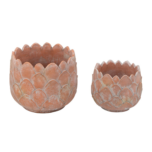 Terracotta Planters
