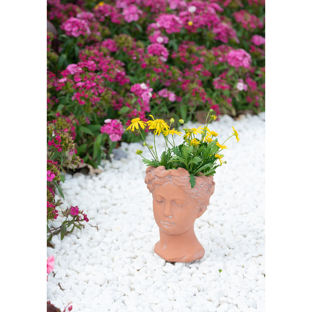 Visage Head Bust Planter