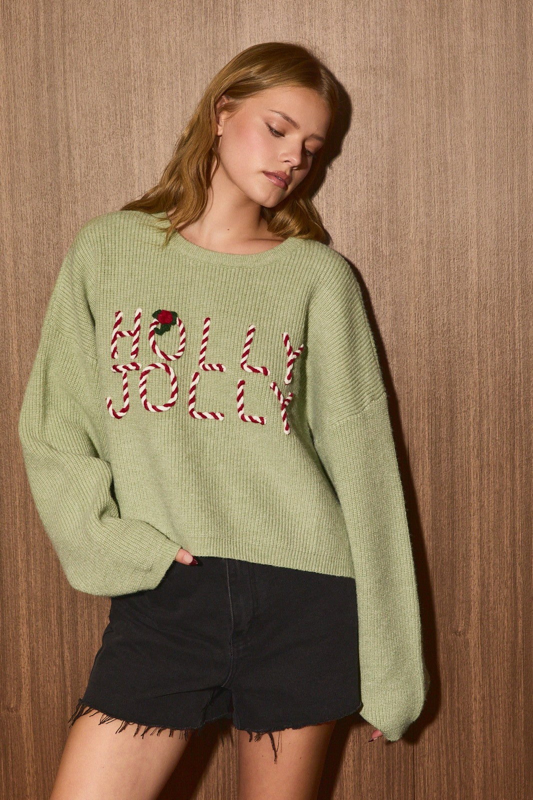 Holly Jolly Embroidered Cropped Knit Sweater