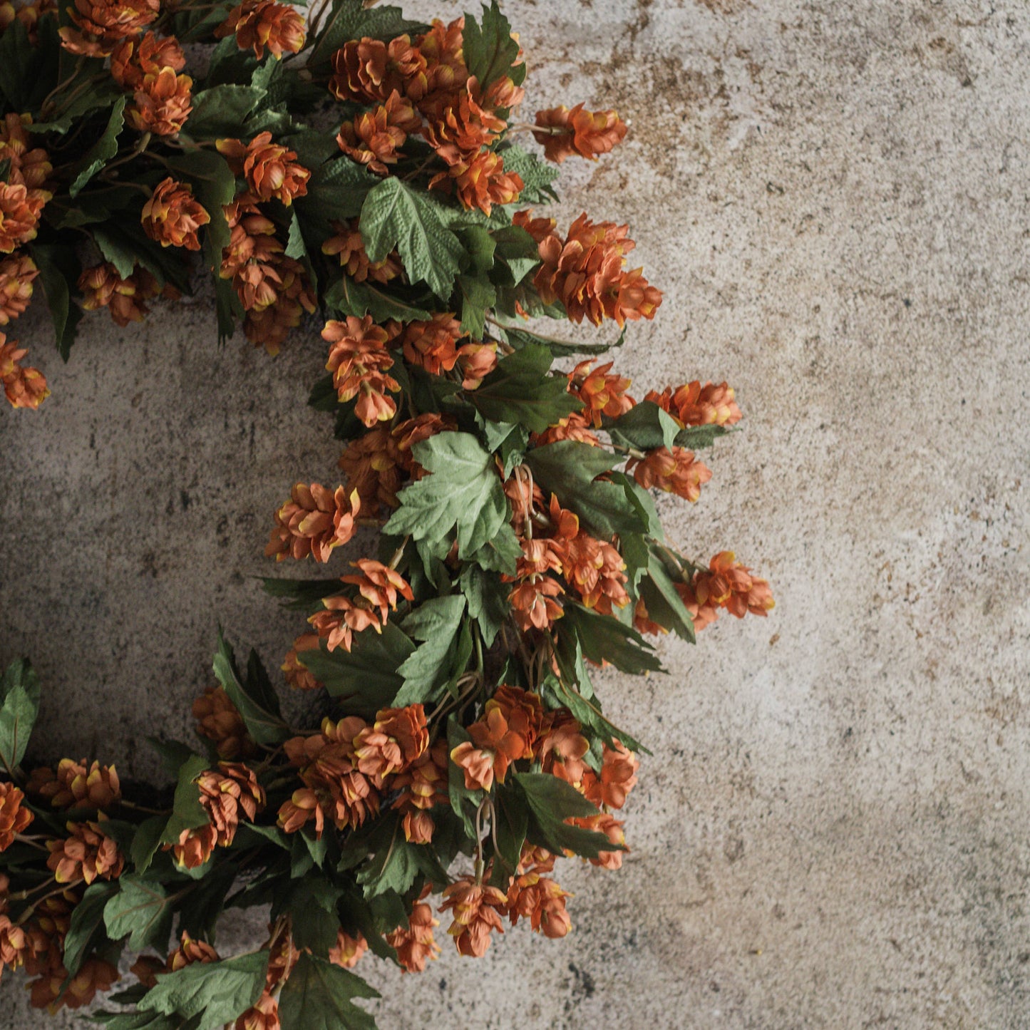 24" Brown Hops Wreath