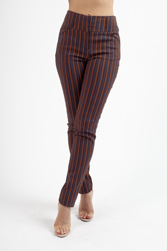 Stripe Print High Waist Skinny Pants