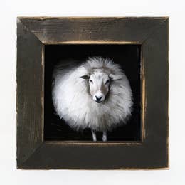 Poofy Sheep - Black Frame Small