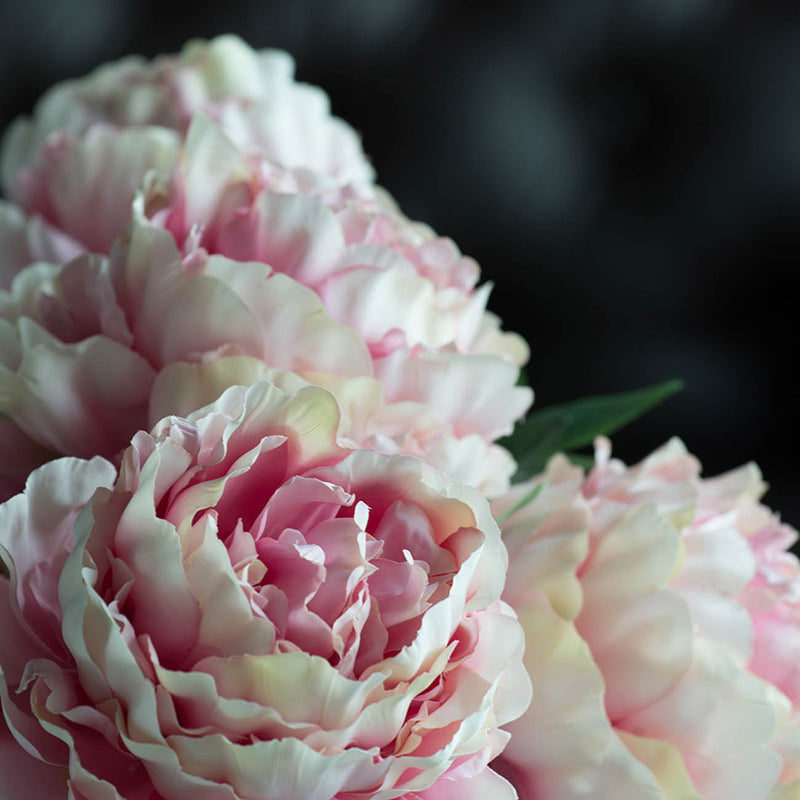 Faux Fabric Peony short Stem - Pink