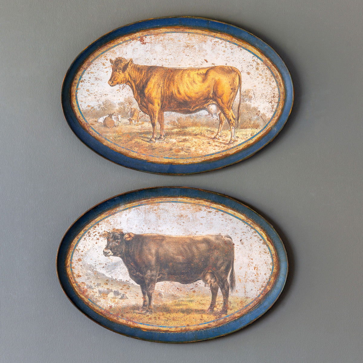 Aged Brown Cows Decorative Hanging Trays