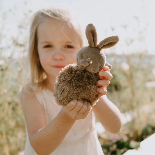 Brownie Roly Poly Bunny