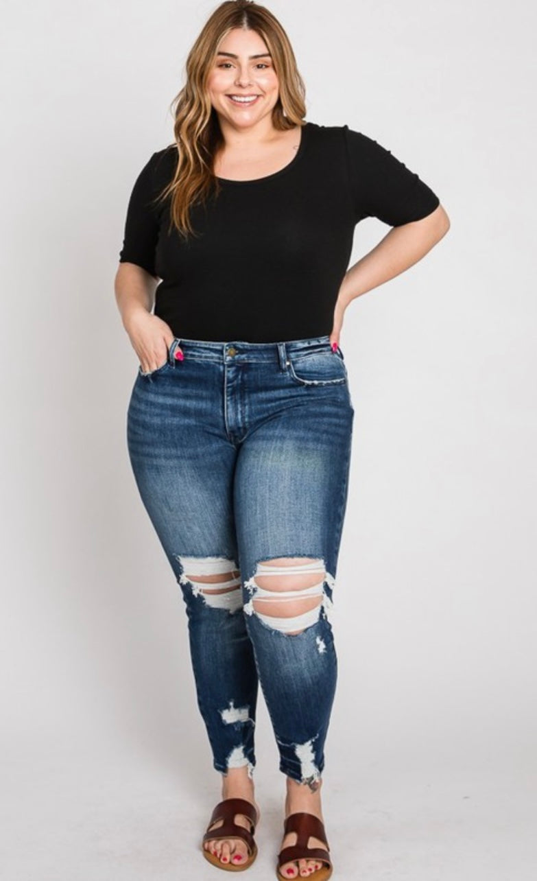 Curvy Girl High Rise Distressed Skinny Jeans